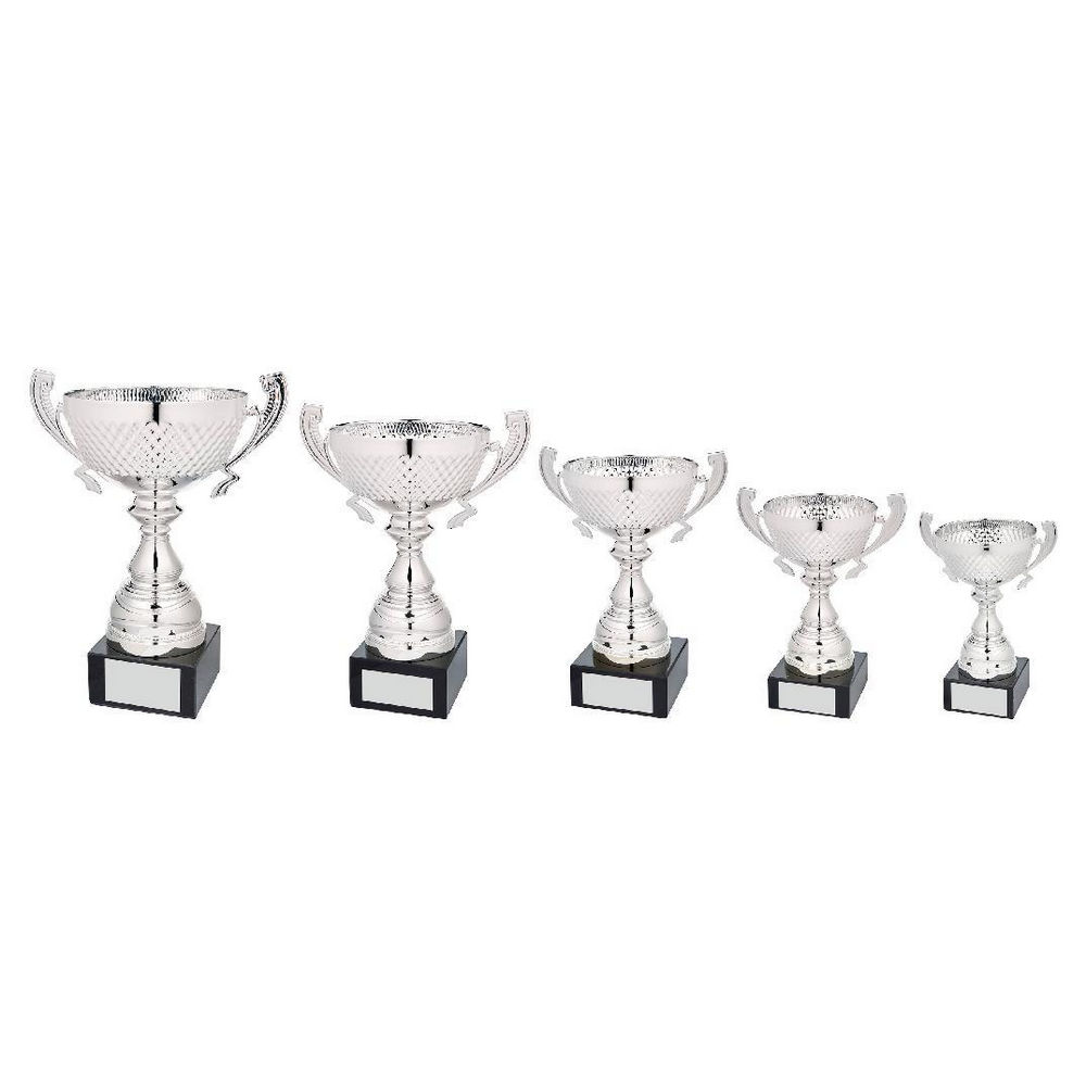 Silver Patterned Bowl Award with Handles Silver Patterned Bowl Award with Handles