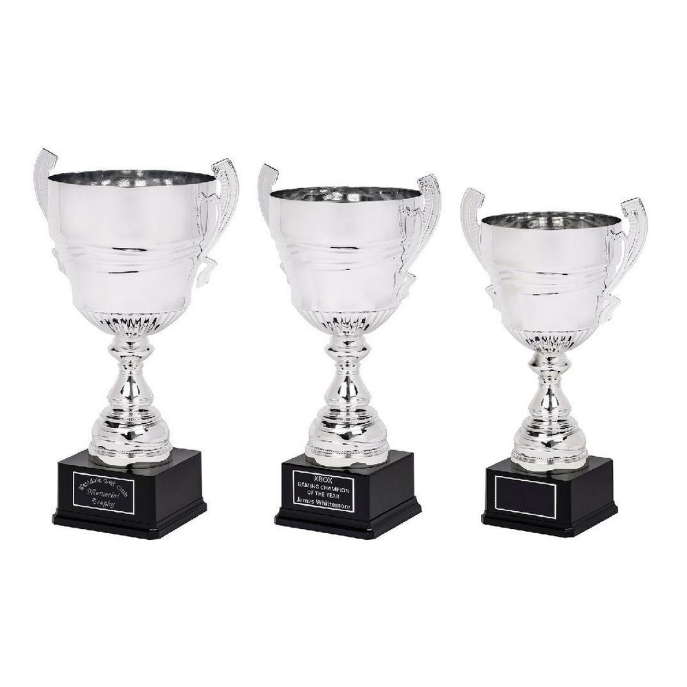 Large Silver Presentation Cup on Black Base Large Silver Presentation Cup on Black Base