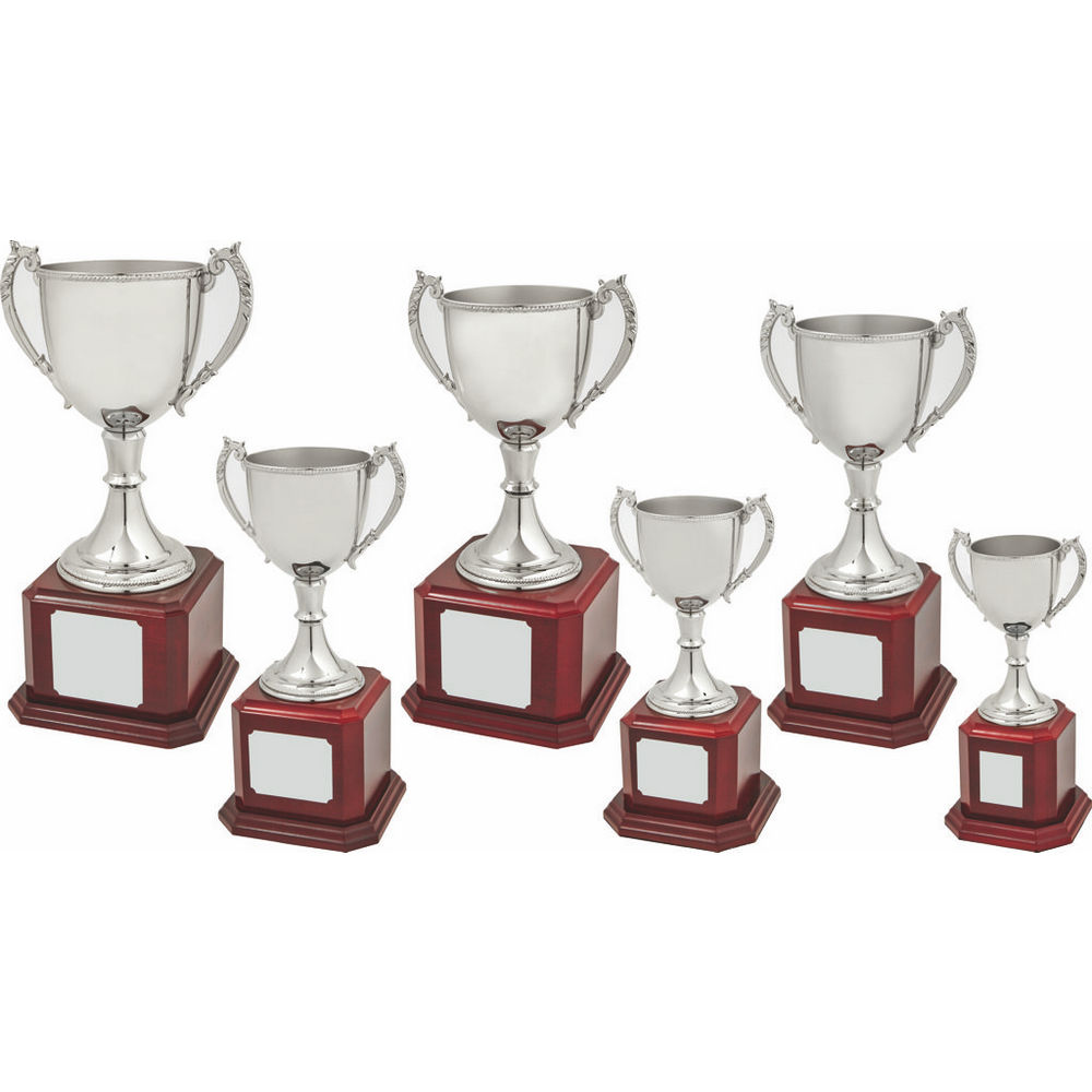 Nickel Plated Trophy Cup on Wood Base Nickel Plated Trophy Cup on Wood Base