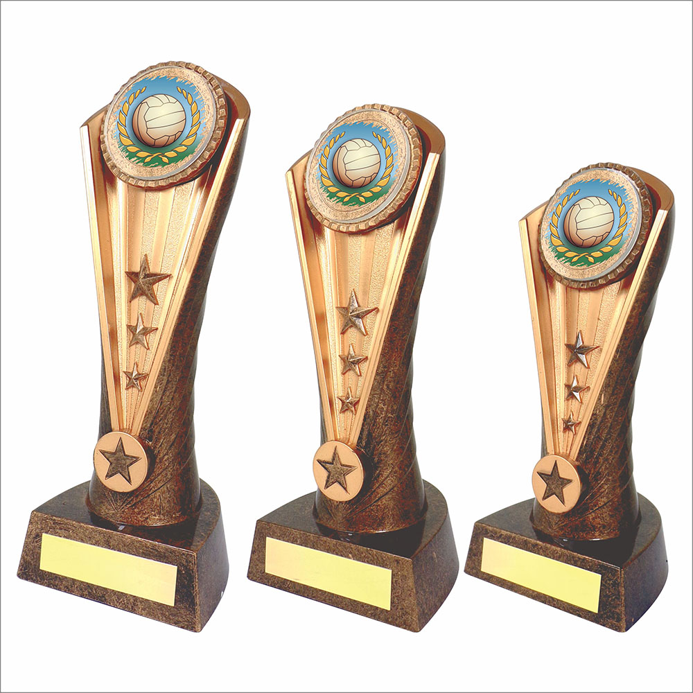 Netball Cobra Trophy