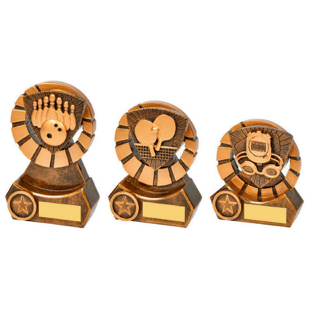 Resin Award with Resin Trim of your Choice Resin Award with Resin Trim of your Choice