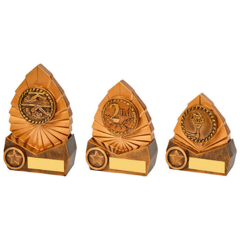 Resin Award with High Relief Centre of your Choice Resin Award with High Relief Centre of your Choice