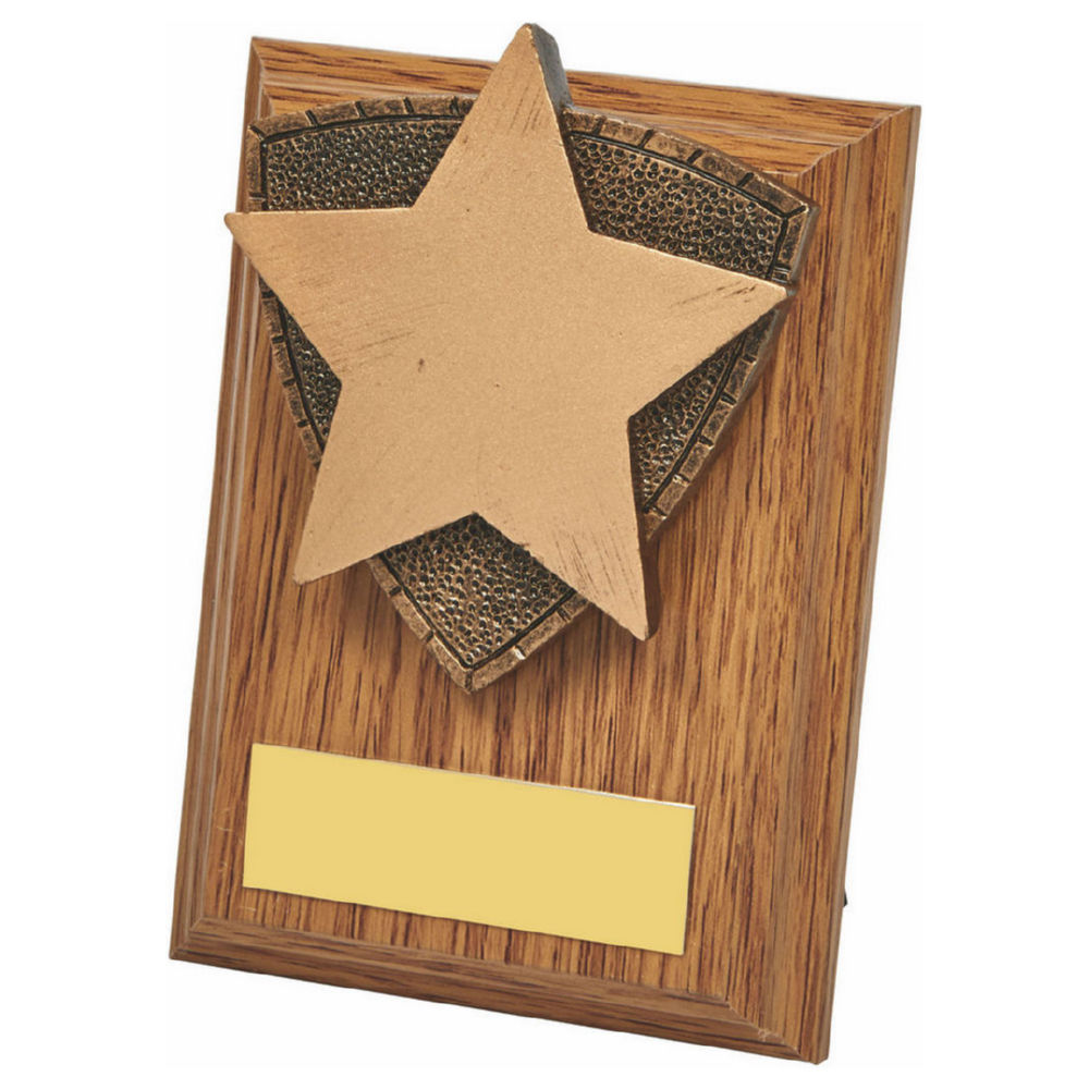 Wood Plaque with Resin Star Trim Wood Plaque with Resin Star Trim
