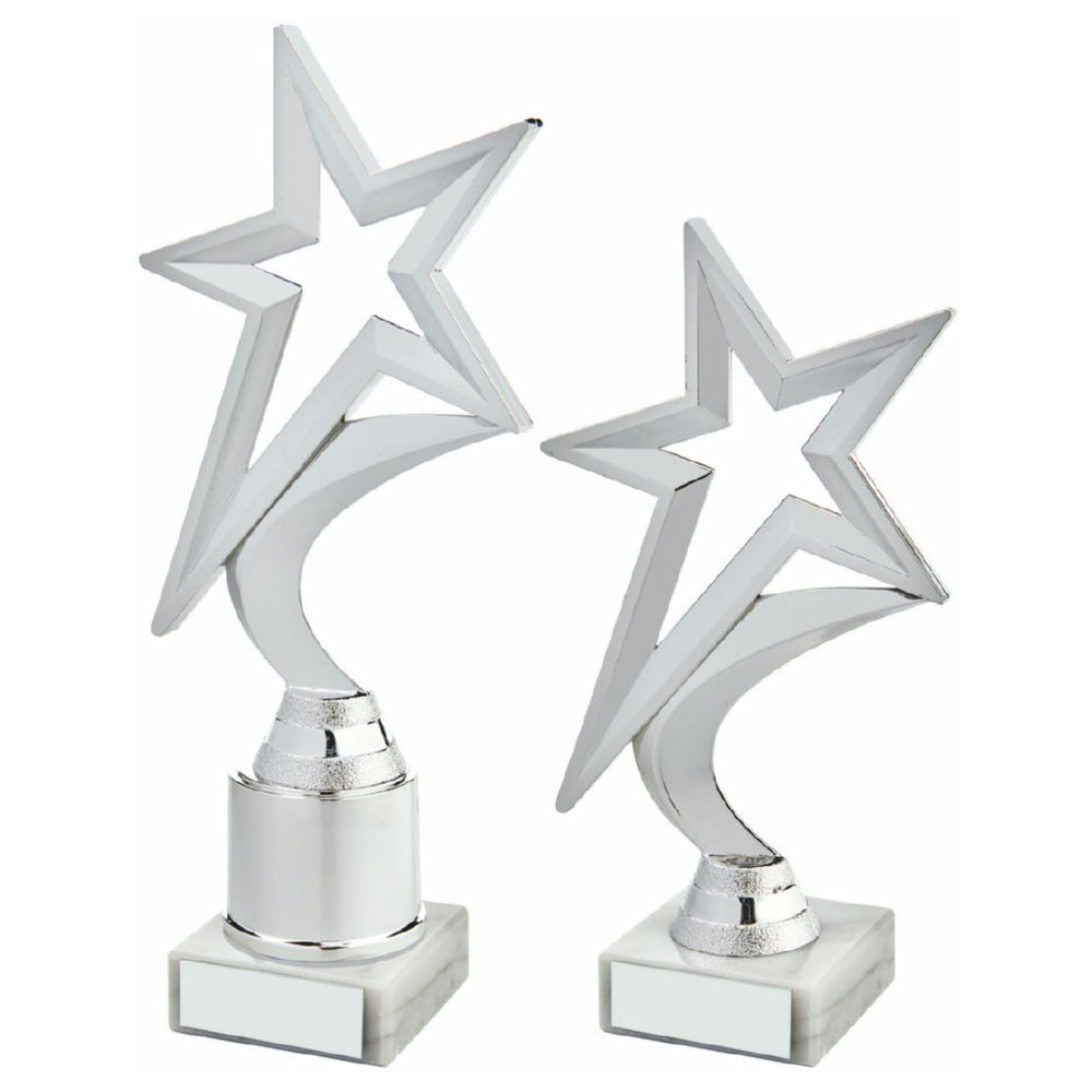 Silver Star Award Silver Star Award