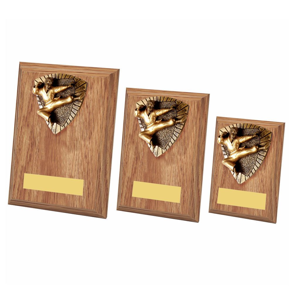 Karate Wood Plaque
