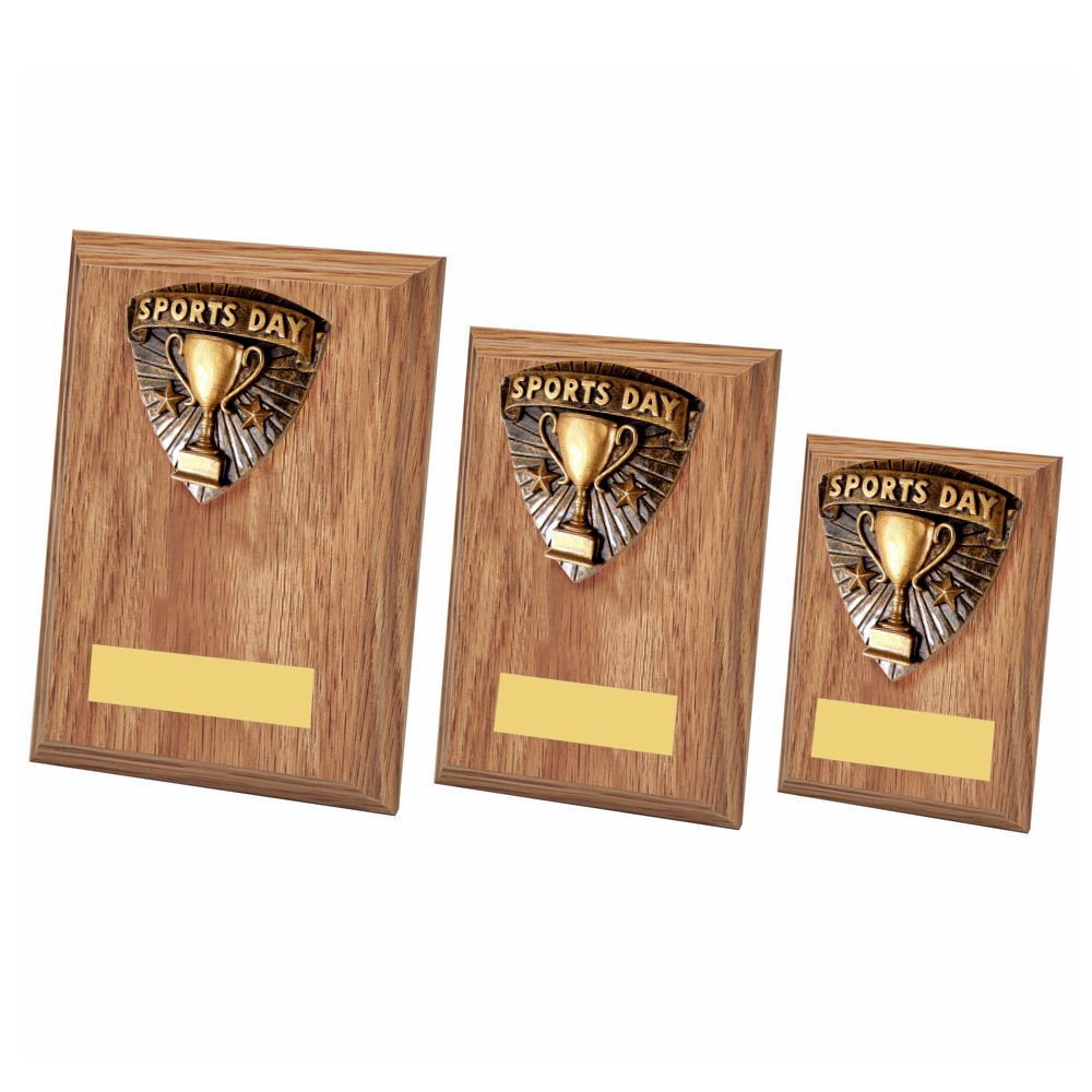Sports Day Wood Plaque