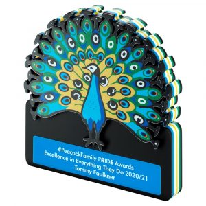 Custom Acrylic Awards