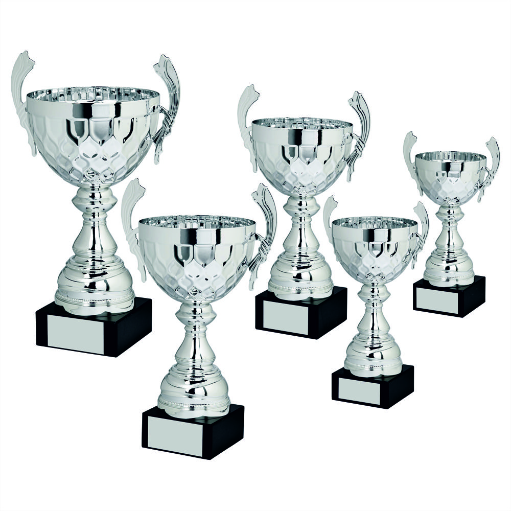 Silver Presentation Cup Silver Presentation Cup