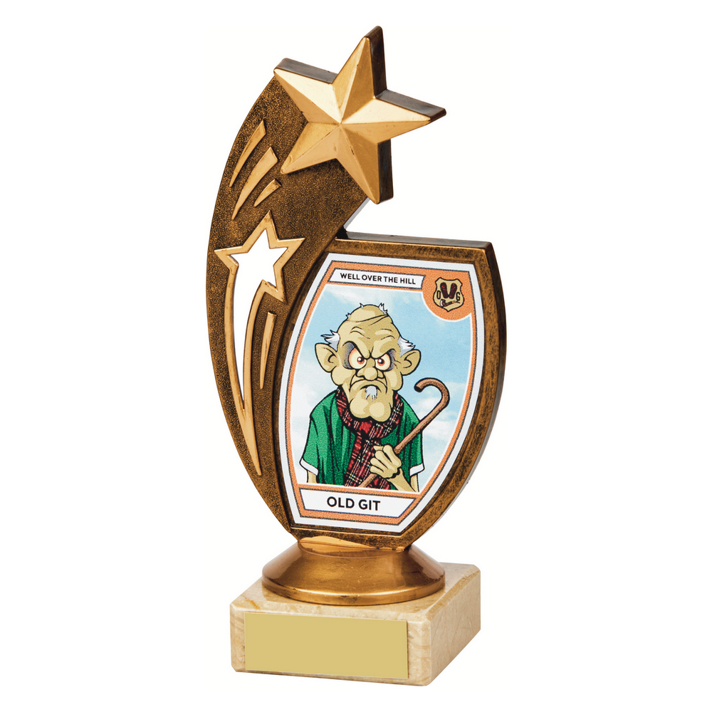 "Old Git" Fun Award "Old Git" Fun Award