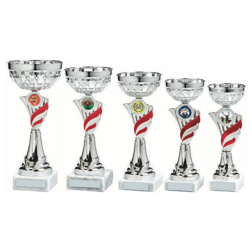 Silver/Red Bowl Award Silver/Red Bowl Award