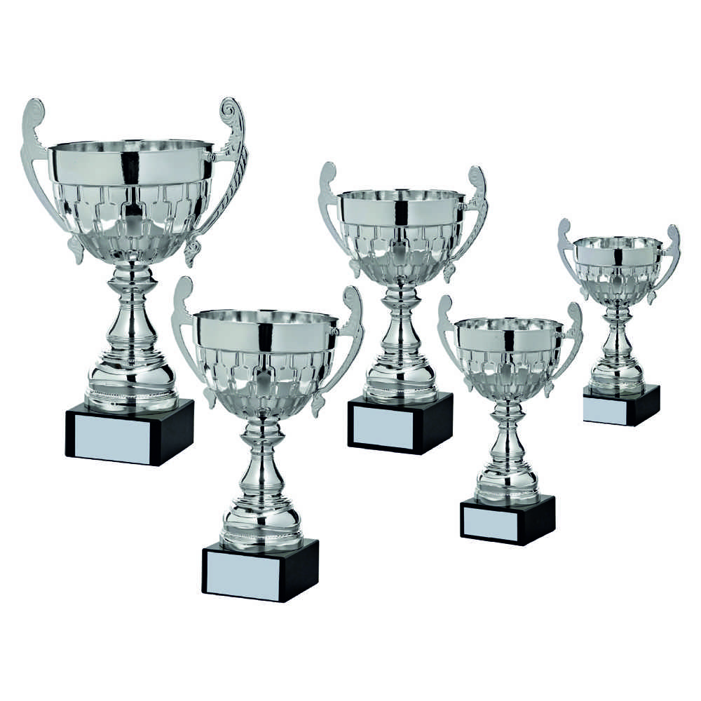 Silver Presentation Cup Silver Presentation Cup