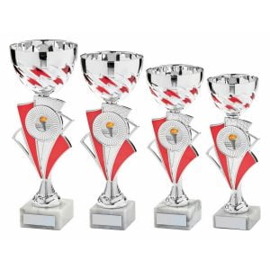 Silver/Red Bowl Award