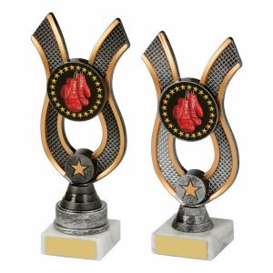 Antique Silver Ribbon Award - Boxing