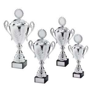 Silver Presentation Cup with Lid