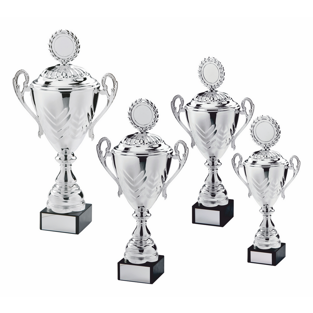 Silver Presentation Cup with Lid Silver Presentation Cup with Lid