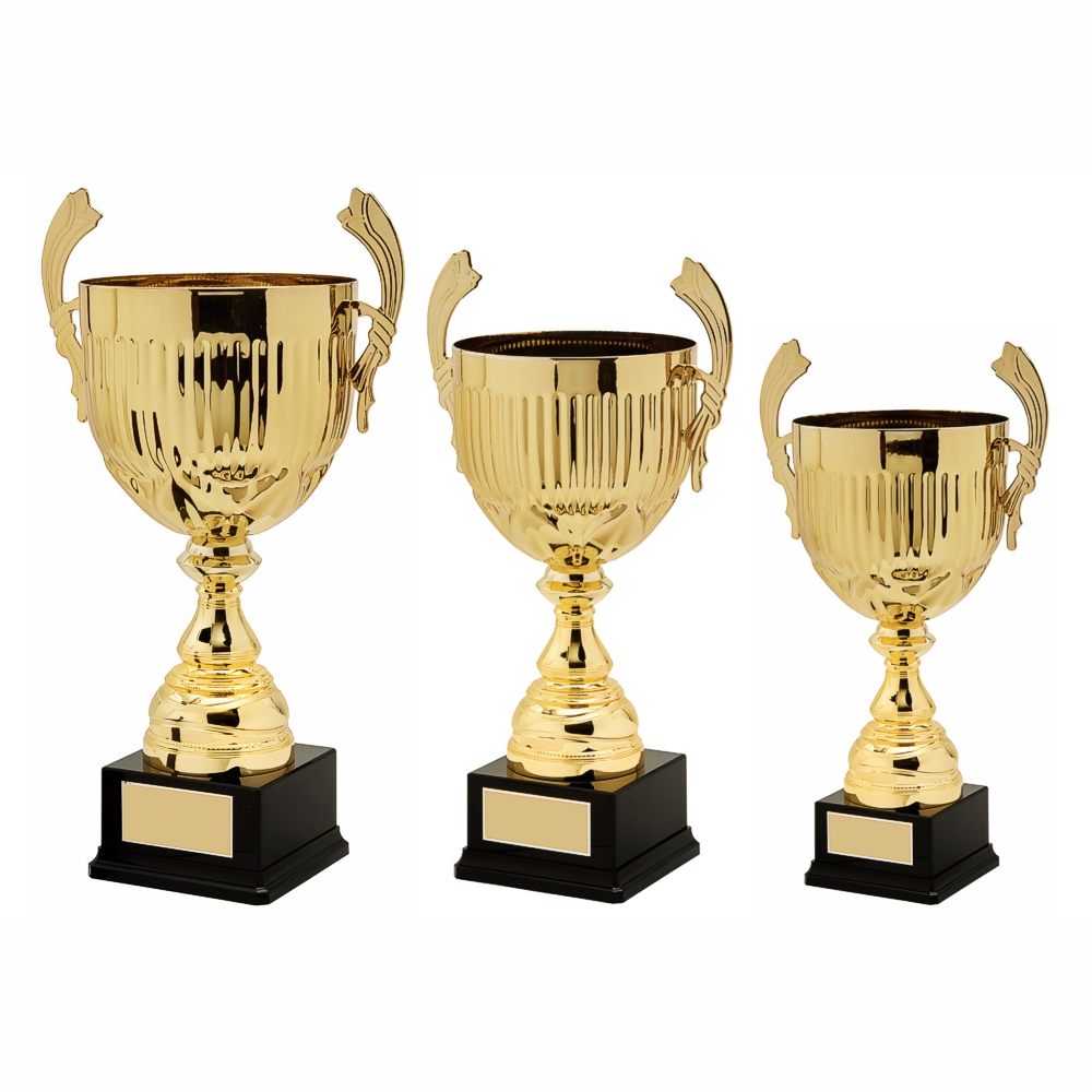 Gold Presentation Cup With Handles Gold Presentation Cup With Handles