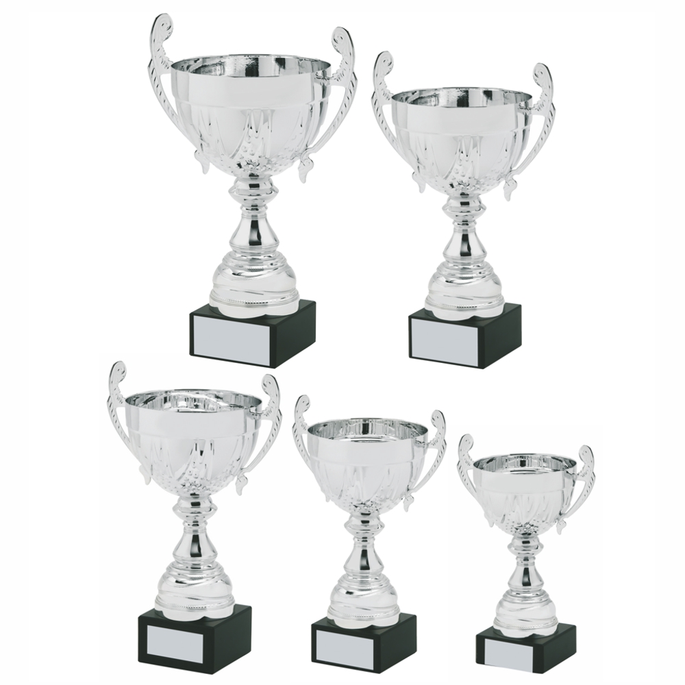 Silver Presentation Cup with Handles Silver Presentation Cup with Handles
