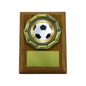 Light Oak Plaque with Football Trim