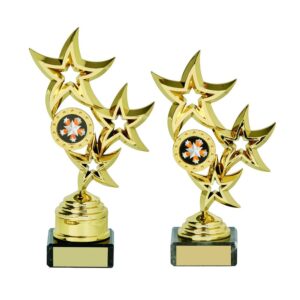 Gold Star Trophy Gold Star Trophy