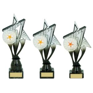 Silver/Black Holder Trophy