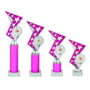 Silver/Pink Zig Zag Holder Award Silver/Pink Zig Zag Holder Award