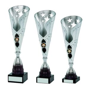 Silver/Black Sculpture Award Silver/Black Sculpture Award