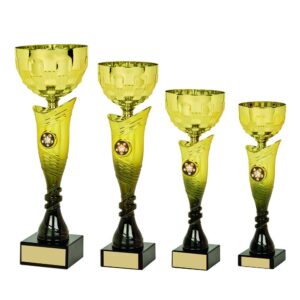 Gold/Black Bowl Award Gold/Black Bowl Award