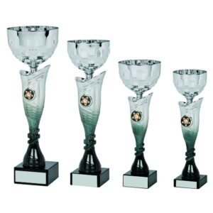 Silver/Black Bowl Award Silver/Black Bowl Award