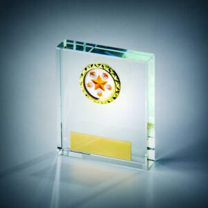 Clear Glass Mini Rectangle Clear Glass Mini Rectangle