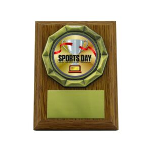 Wood effect Plaque Sports Day Wood effect Plaque Sports Day