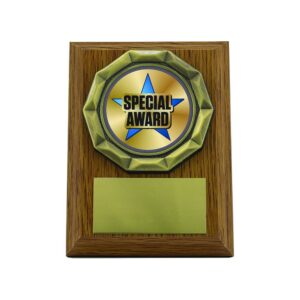 Wood effect Plaque Special Award Wood effect Plaque Special Award