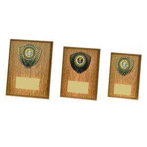 Light Oak Wood Plaque Award Light Oak Wood Plaque Award