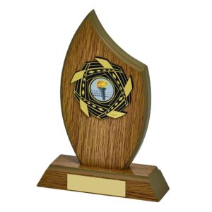 Light Oak Wood Stand Award