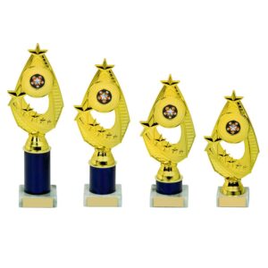 Gold Holder/Black Tubing Award Gold Holder/Black Tubing Award