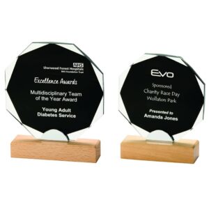 Black Crystal on a Wooden Base